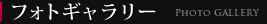 tHgM[
