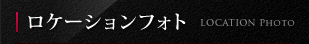 P[VtHg