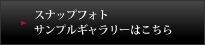 XibvtHg TvM[͂